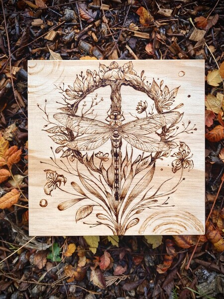 Bo&icirc;te &agrave; secrets Anax empereur *vendu* 2024