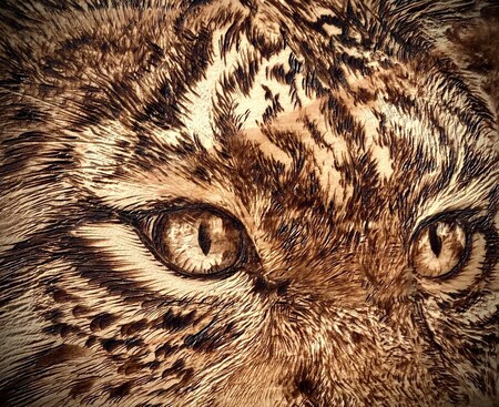 Lynx Bor&eacute;al *vendu*