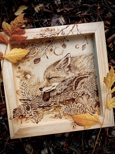 Renard roux *vendu*  2024