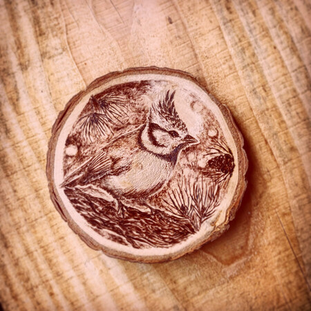 M&eacute;sange Hupp&eacute;e *vendu*