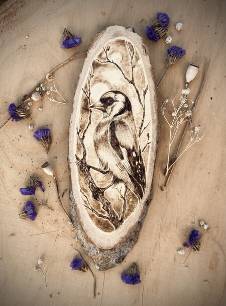 Chardonneret &Eacute;l&eacute;gant - 2024 *vendu*