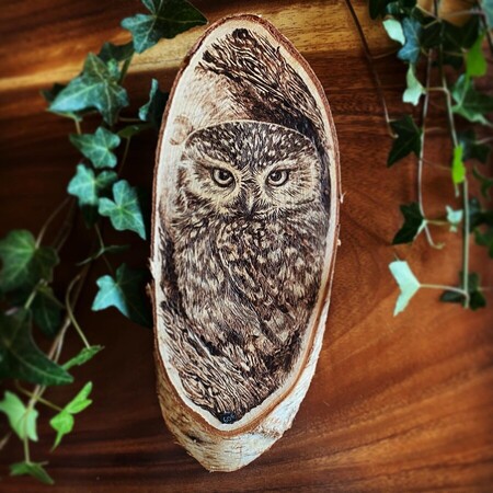 Chev&ecirc;che d�Athena -2023