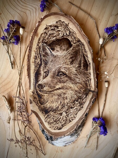 Renard Roux - 2024 *vendu*