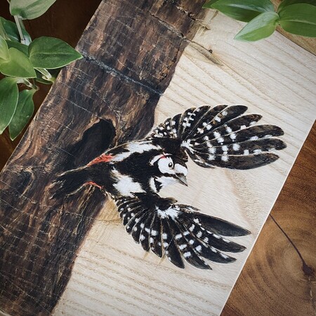 Pic &eacute;peiche - 2024 *disponible - 120�*