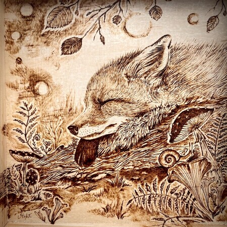 Renard Roux *vendu* 2024