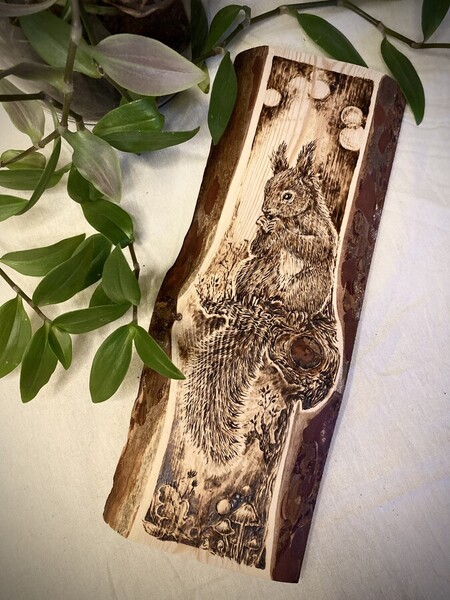 &Eacute;cureuil Roux - 2024 *vendu*