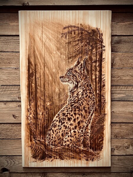 Lynx Bor&eacute;al dans sa for&ecirc;t *disponible 235�*