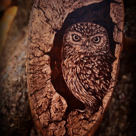 Chouette chev&ecirc;che 2025