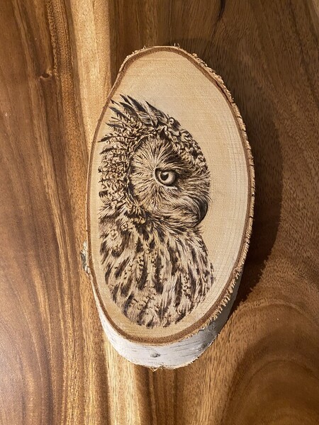 Profil de hibou grand duc *vendu*