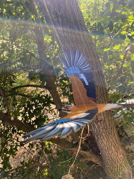 Mobile Geai des Ch&ecirc;nes 2024 *disponible 40� *