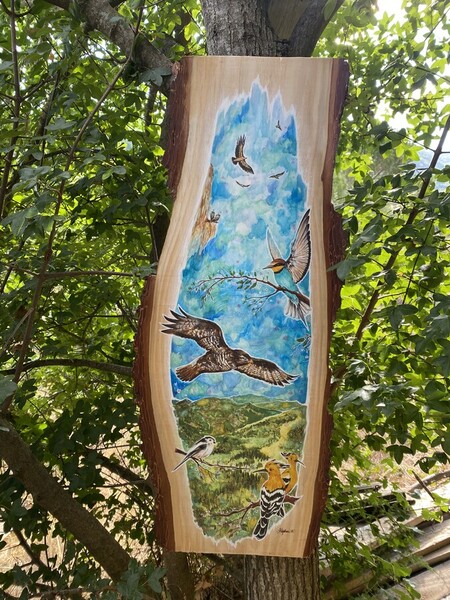 Peuple des Airs en C&eacute;vennes - 2024 *disponible 150�*