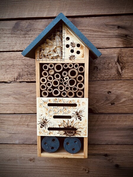 H&ocirc;tel &agrave; insectes 2024 *disponible 38�*