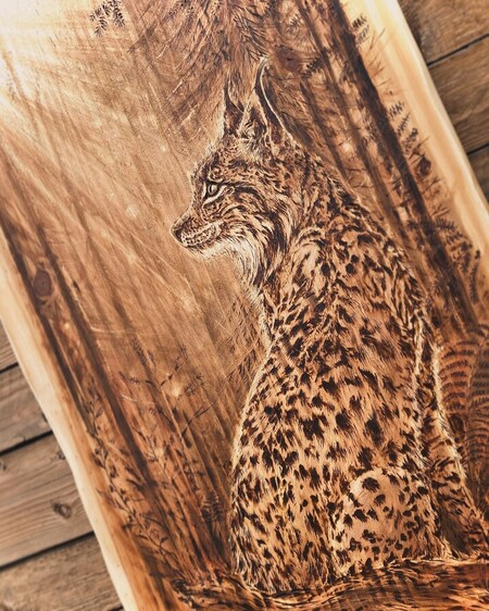 Lynx Bor&eacute;al dans sa for&ecirc;t *disponible 235�*