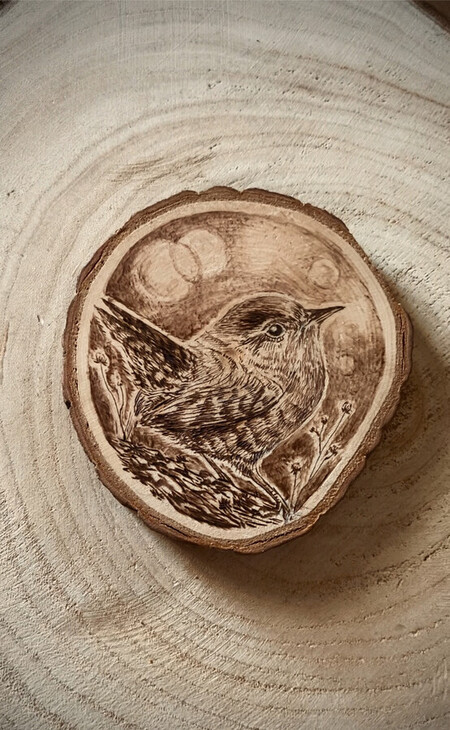 Troglodyte Mignon - 2024 *vendu*