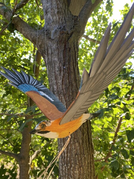 Mobile Geai des Ch&ecirc;nes 2024 *disponible 40� *