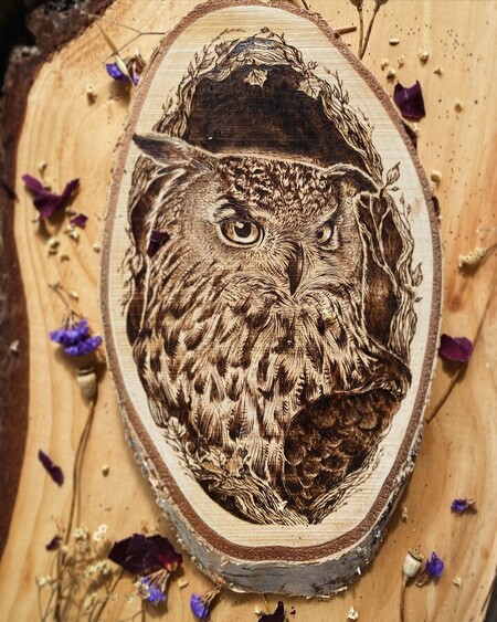 Hiboux grand duc *vendu*