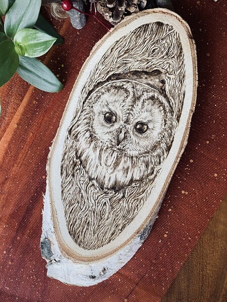Chouette Hulotte - 2023 *vendue*