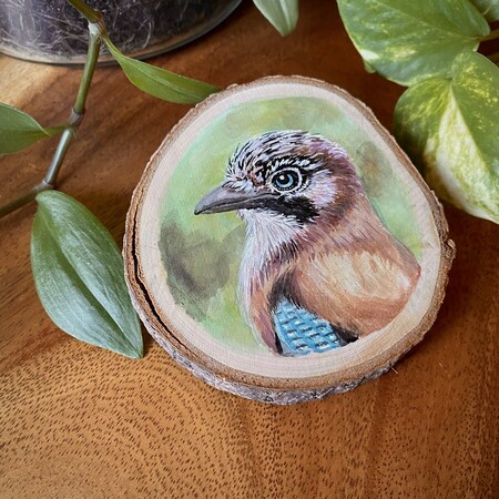 Geai des Ch&ecirc;nes - 2023 *vendu*